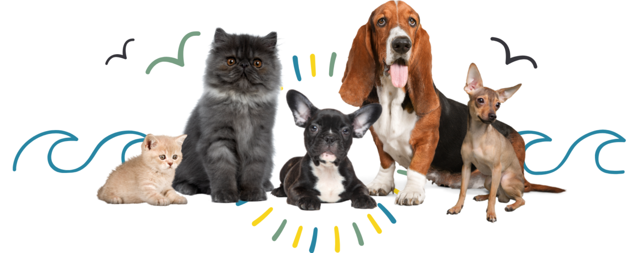 Best Veterinary Hospital In Augusta, GA 30909